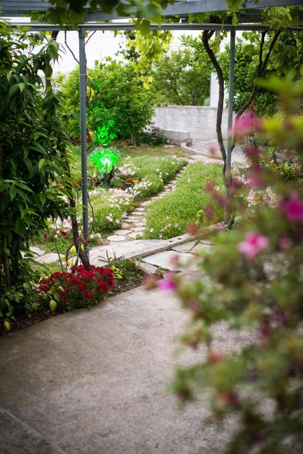 Mikros Paradisos Pelion Áyios Vlásios 外观 照片