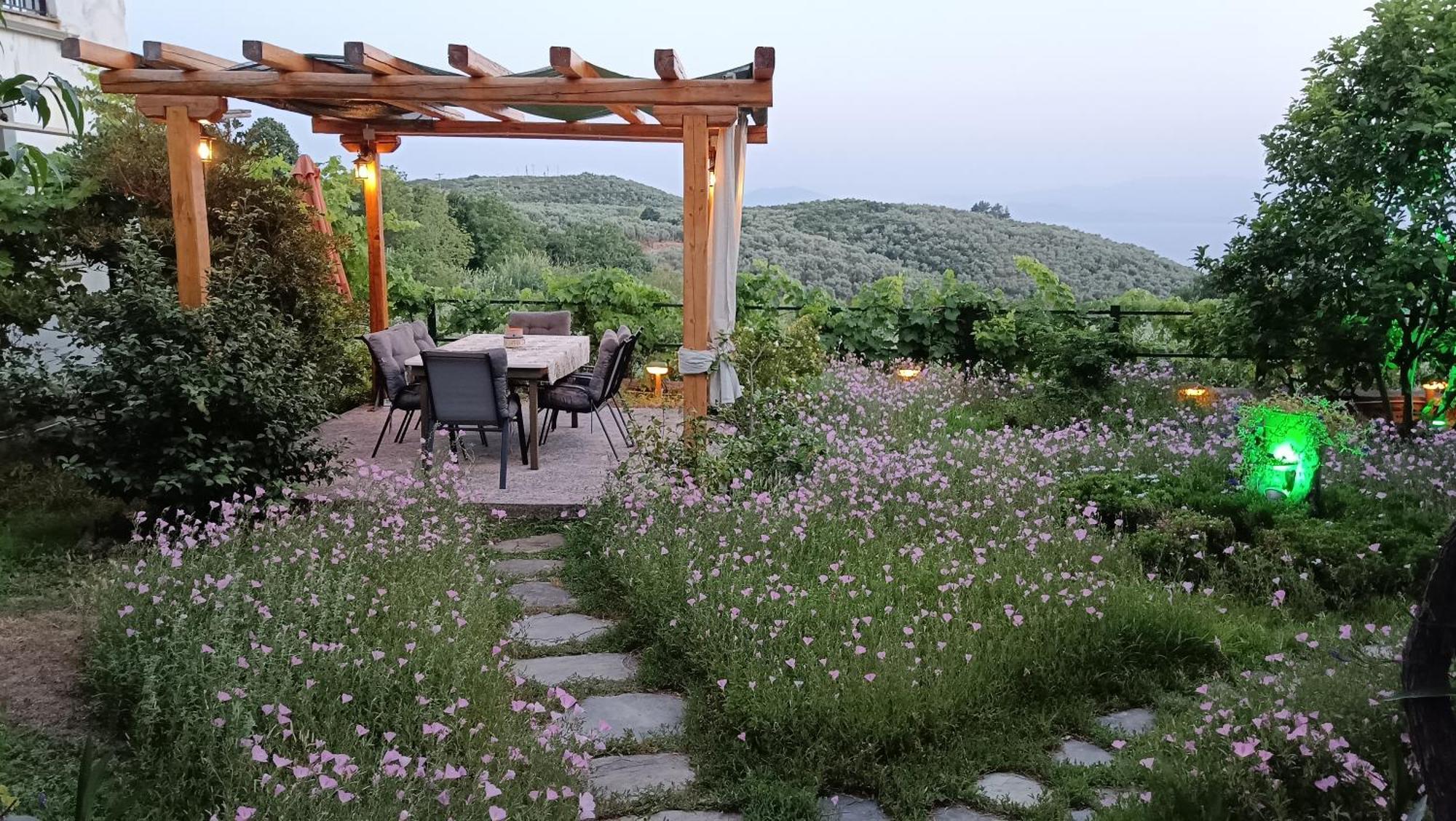 Mikros Paradisos Pelion Áyios Vlásios 外观 照片