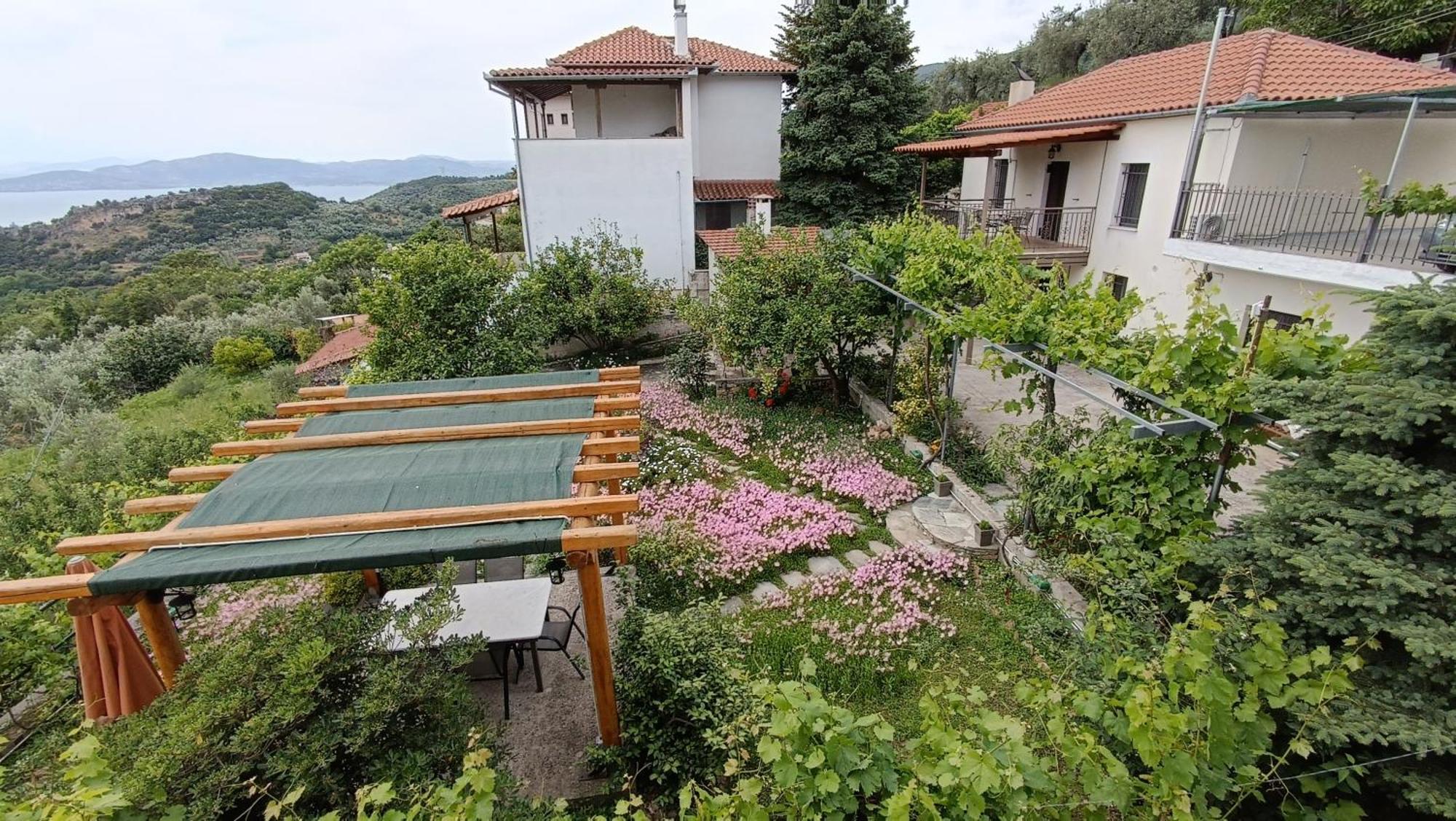 Mikros Paradisos Pelion Áyios Vlásios 外观 照片